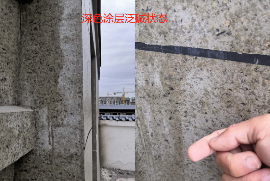 微信图片_20240725153452.png